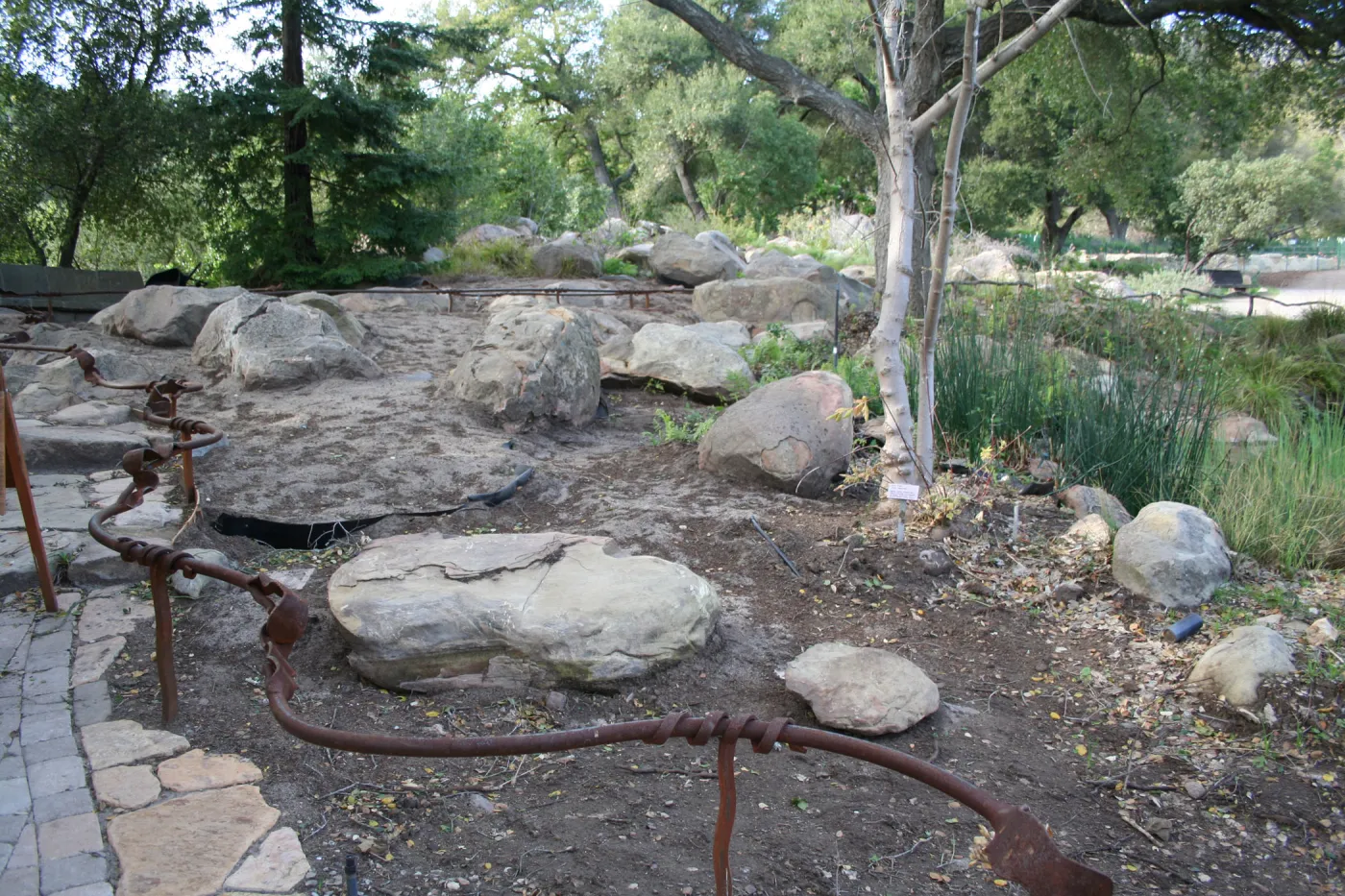Construction of the Orchid Display