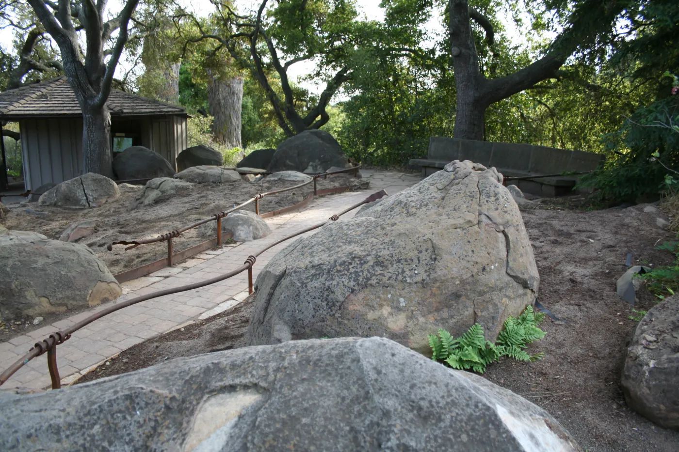 Construction of the Orchid Display