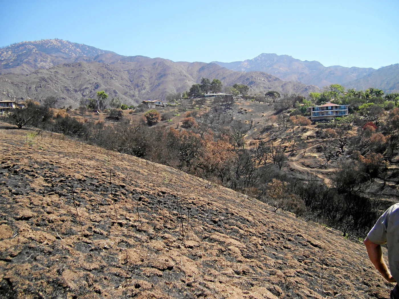 View of Jesusita Fire damage from Cavalli Ridge