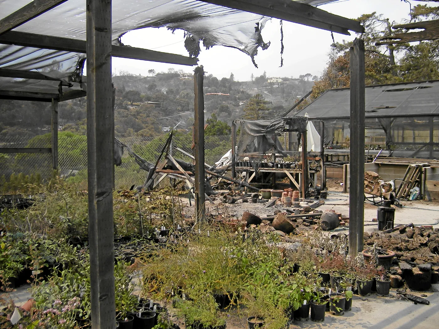 Jesusita Fire damage to Horticulture Nursery