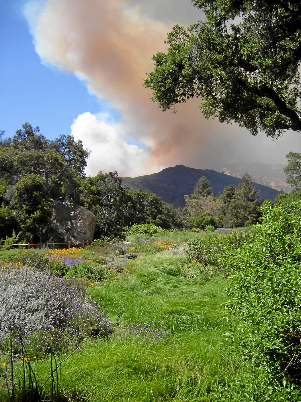 Jesusita Fire, shortly after ignition