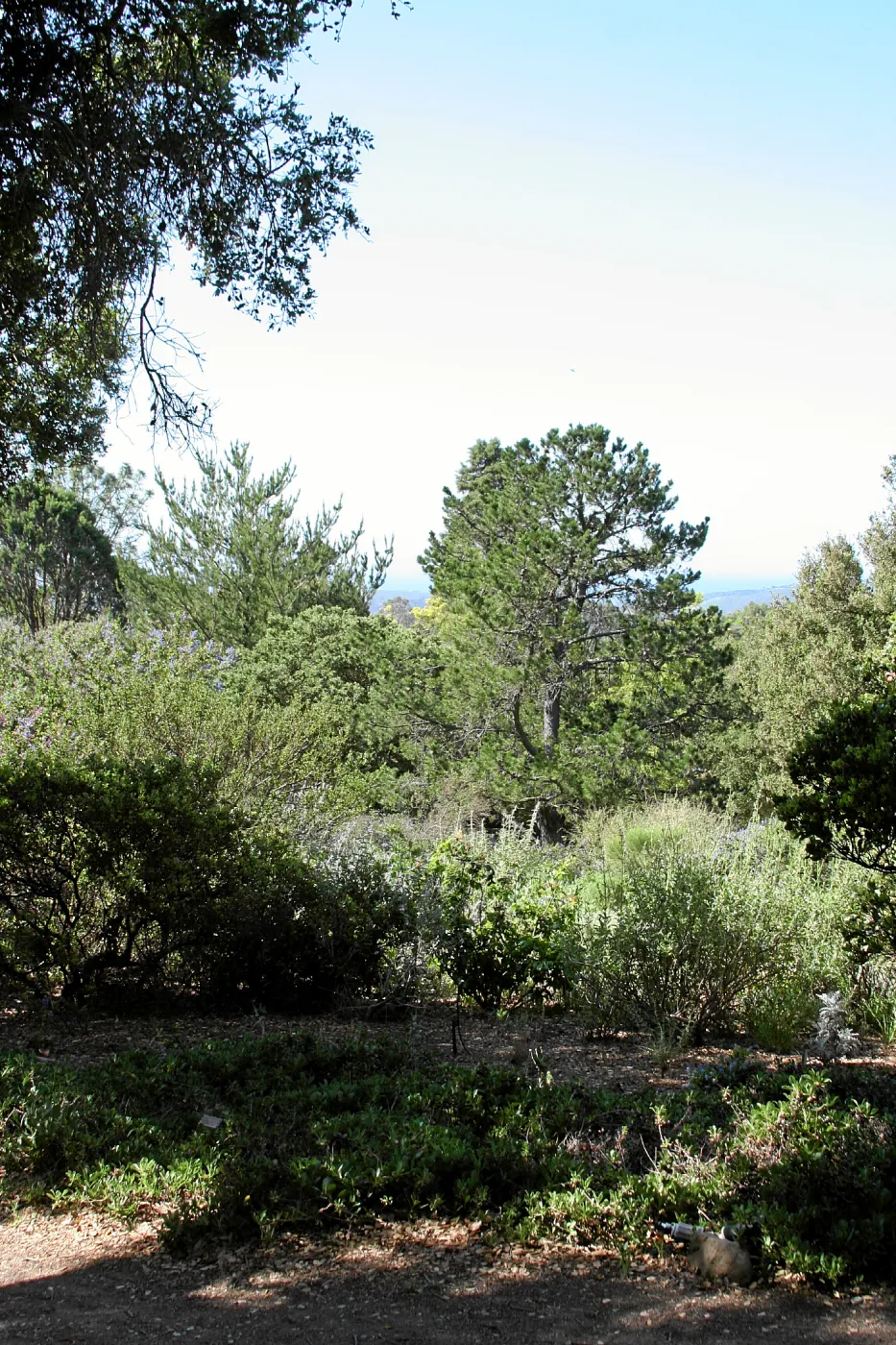 Porter Trail,East path, southwest