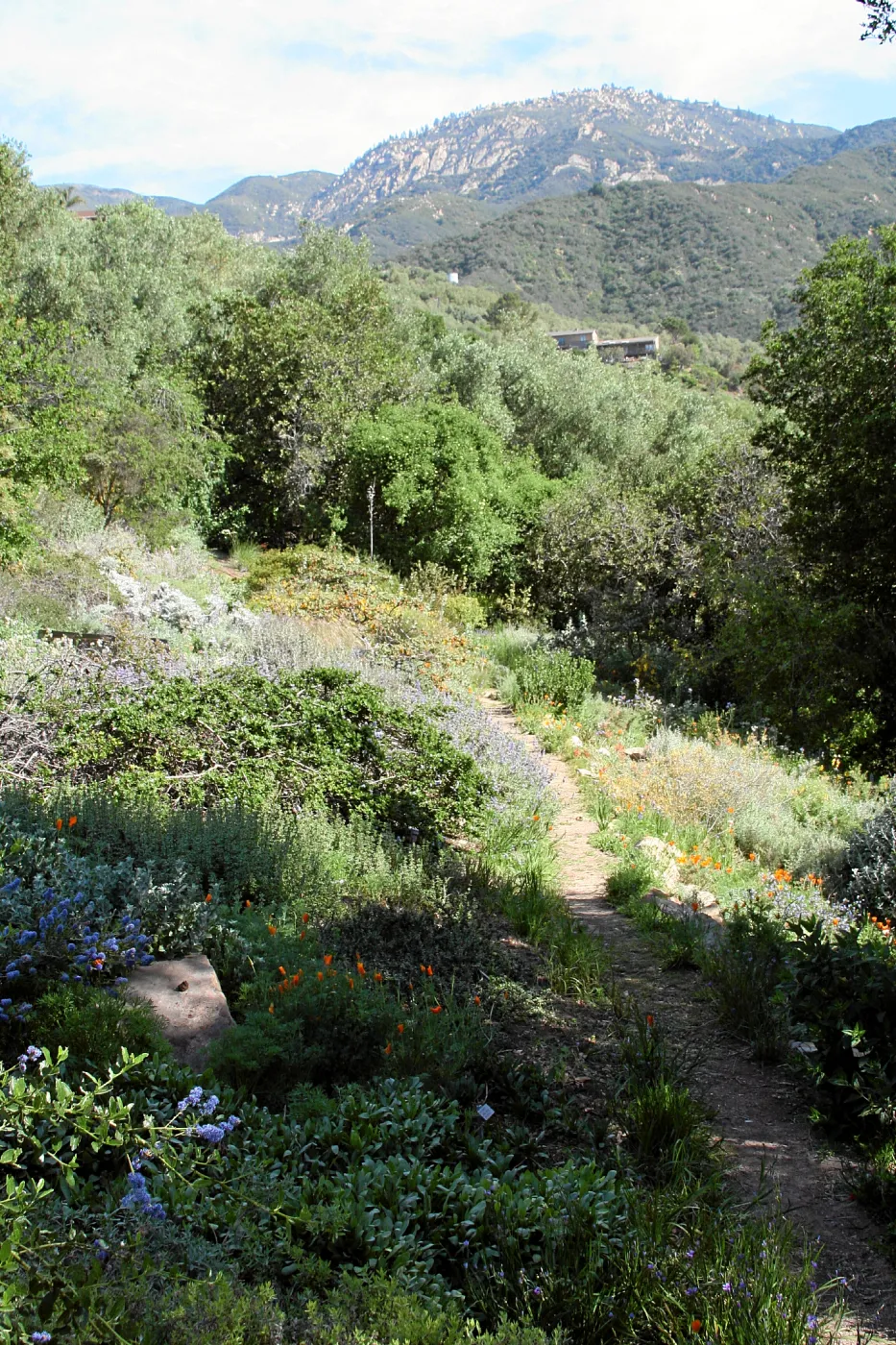 Porter Trail, Switch Back, North