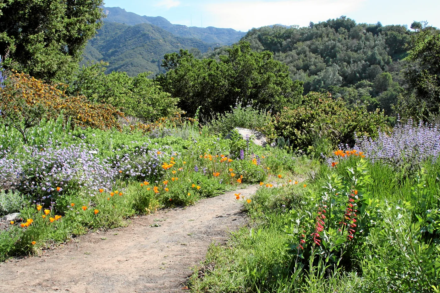 West path, east
