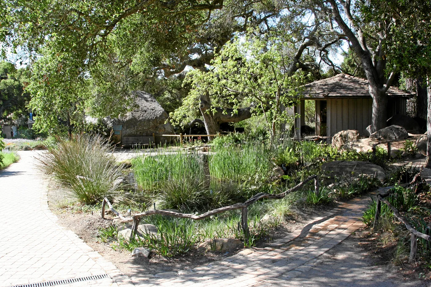 Meadow, Main path over pond, south