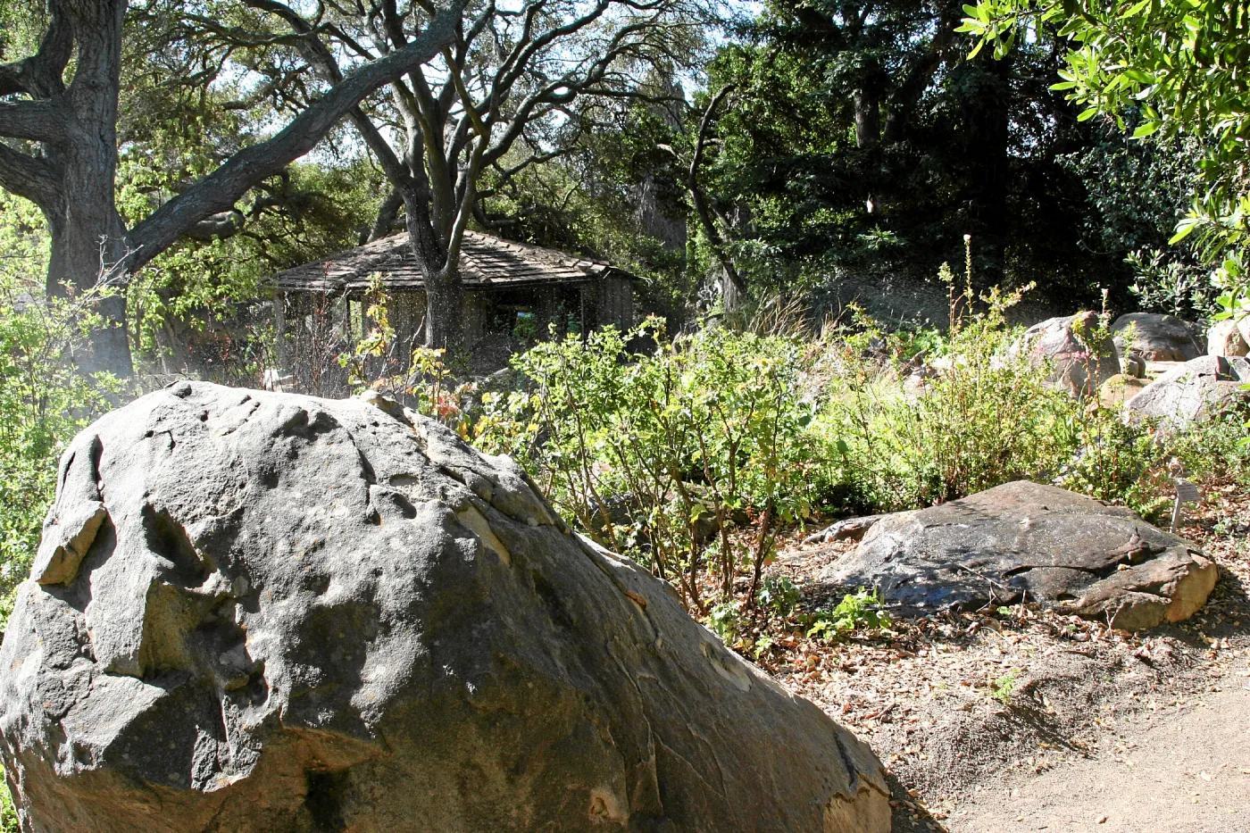 Brook, across display south