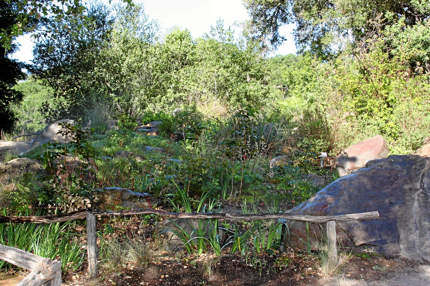 Brook, west