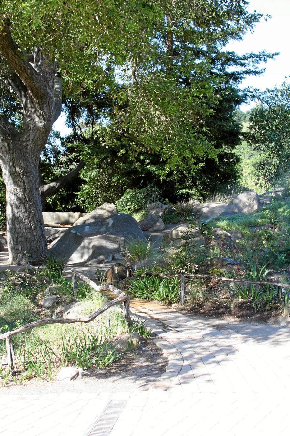 Meadow,Main path, west