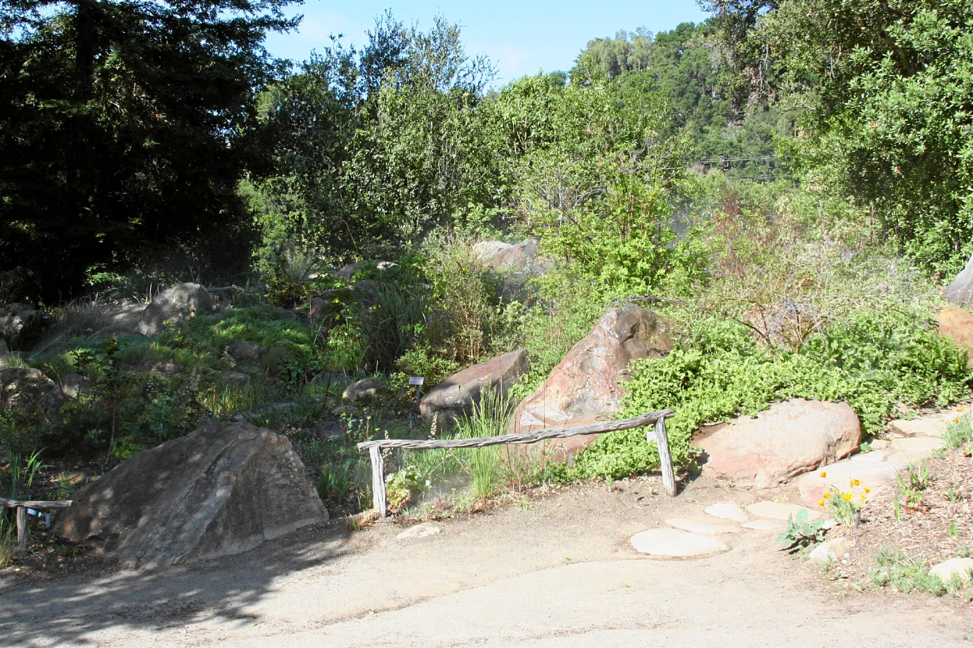 Meadow,Main path, west