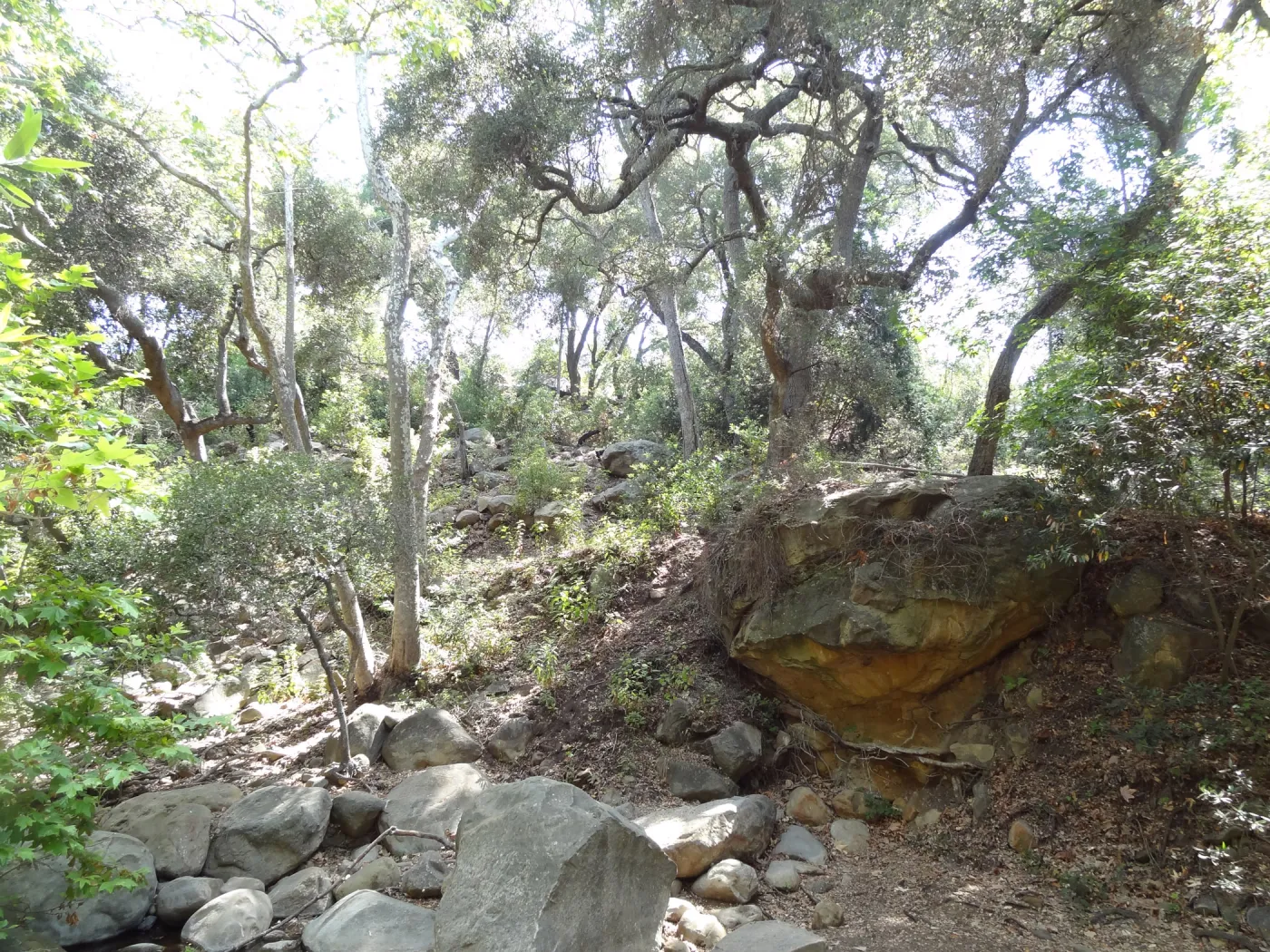 boulder, Canyon Section