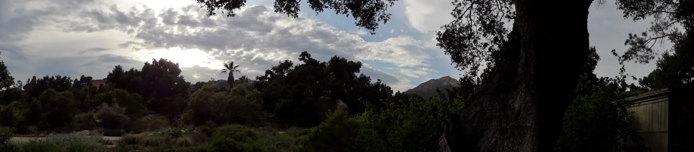 SBBG lower Meadow, monsoon clouds, late afternoon, natural window, view to mountains, Desert Section