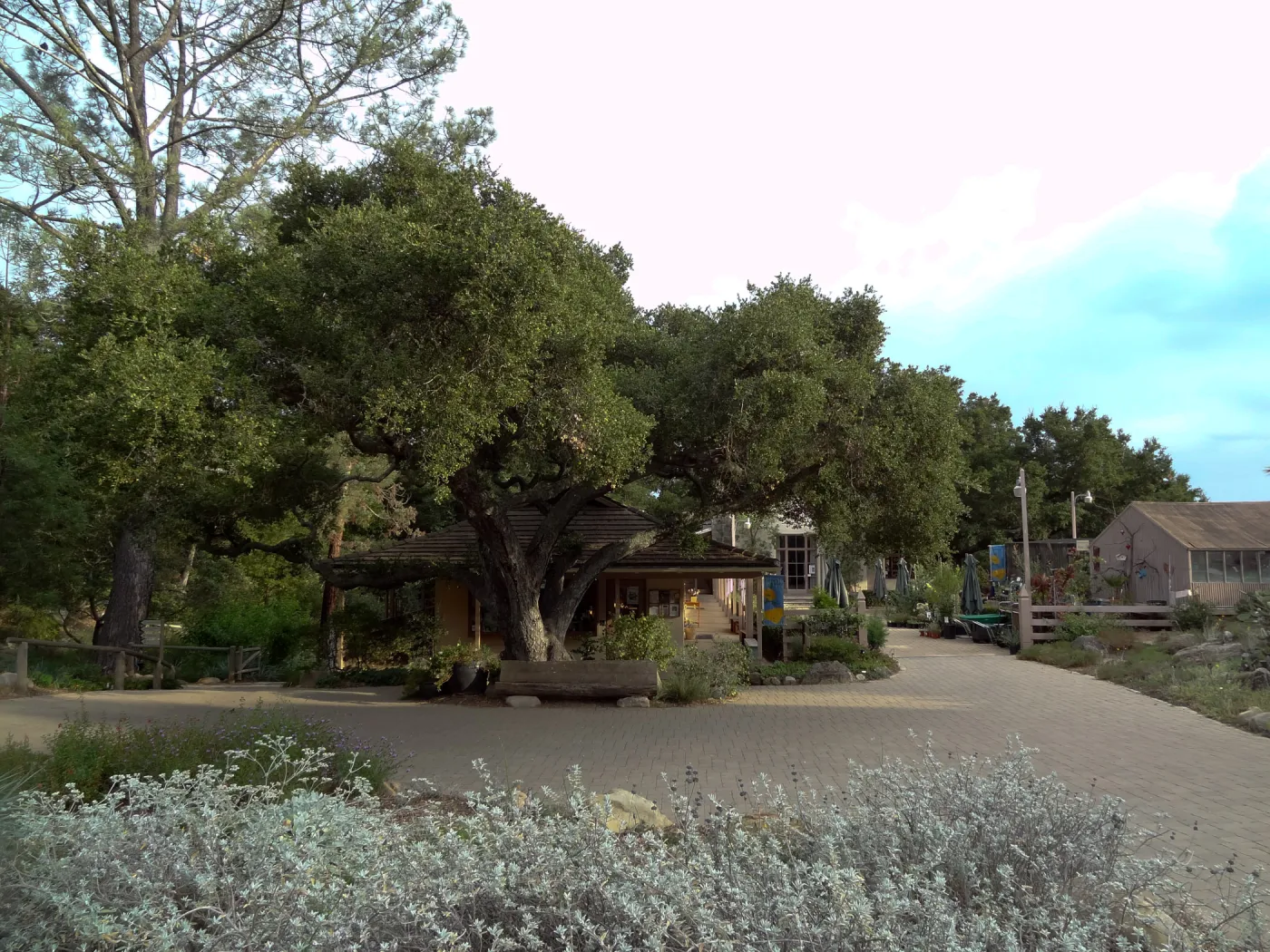 view from Meadow to the Gift Shop, Entrance oak, wood bench