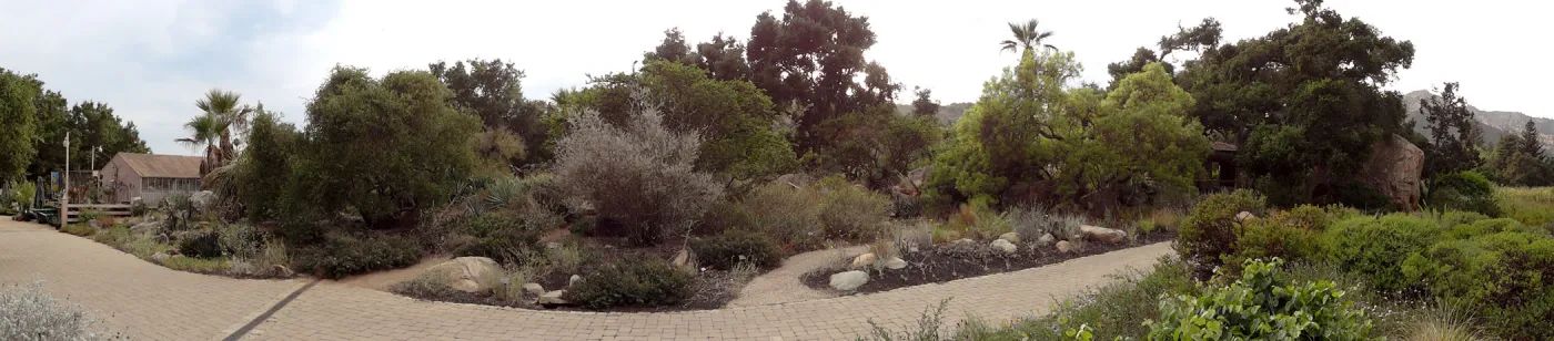view from Meadow to Desert Section, panorama
