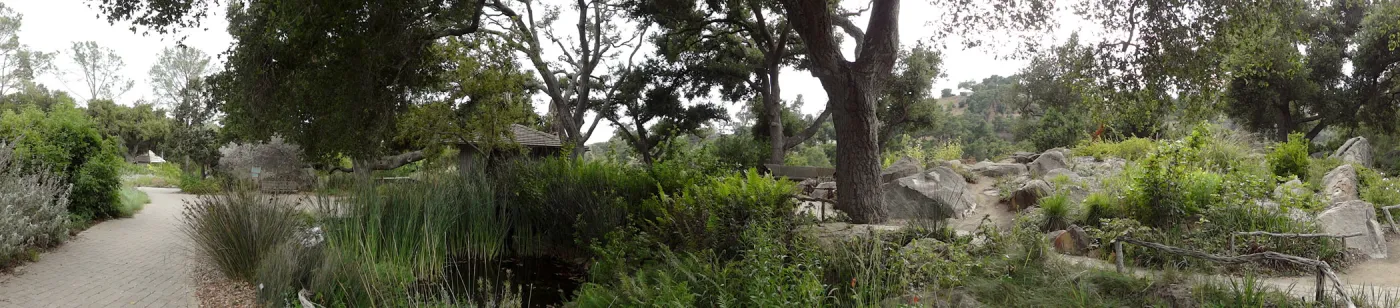 Information Kiosk and Meadow Pond, panorama