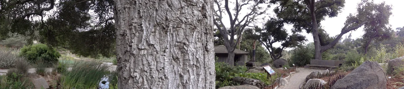 oak trunk, Meadow Oaks, Information Kiosk, stone bench, Orchid Display, Meadow Pond, panorama