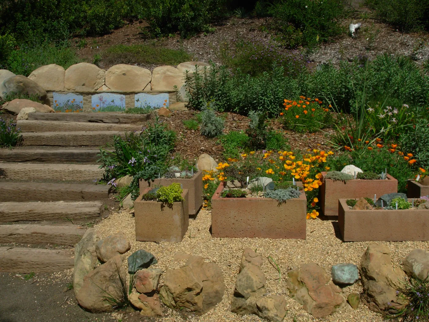 trough display garden, Meadow View, SBBG, mosaic by Patty Jacquemain on stone bench