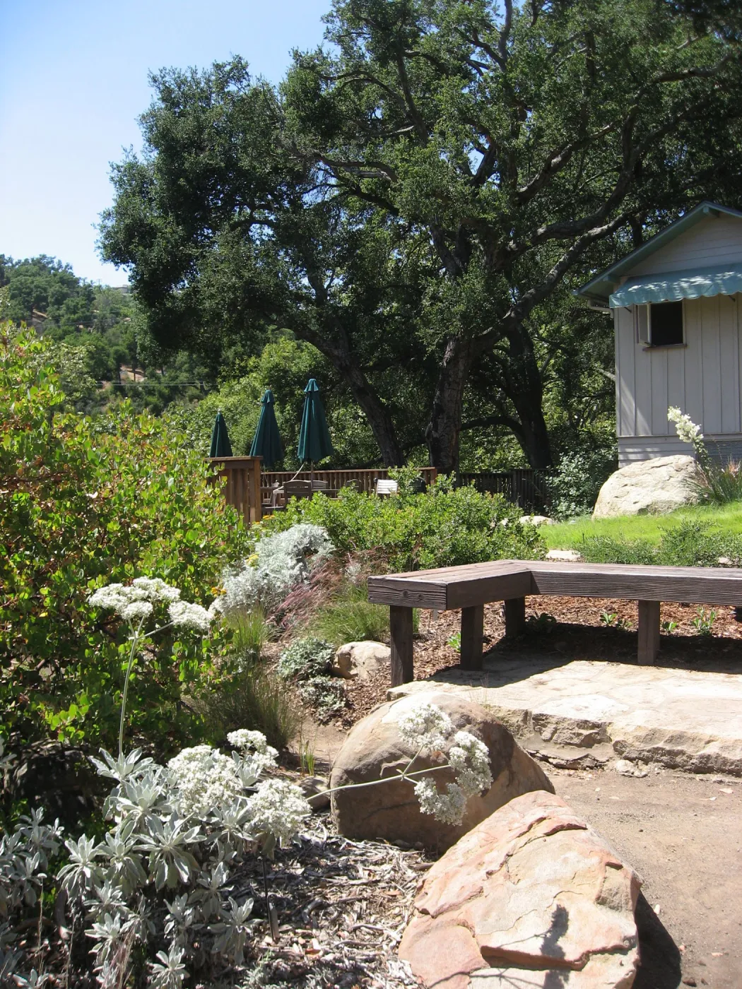 Home Demonstration Garden, wood bench, Cottage