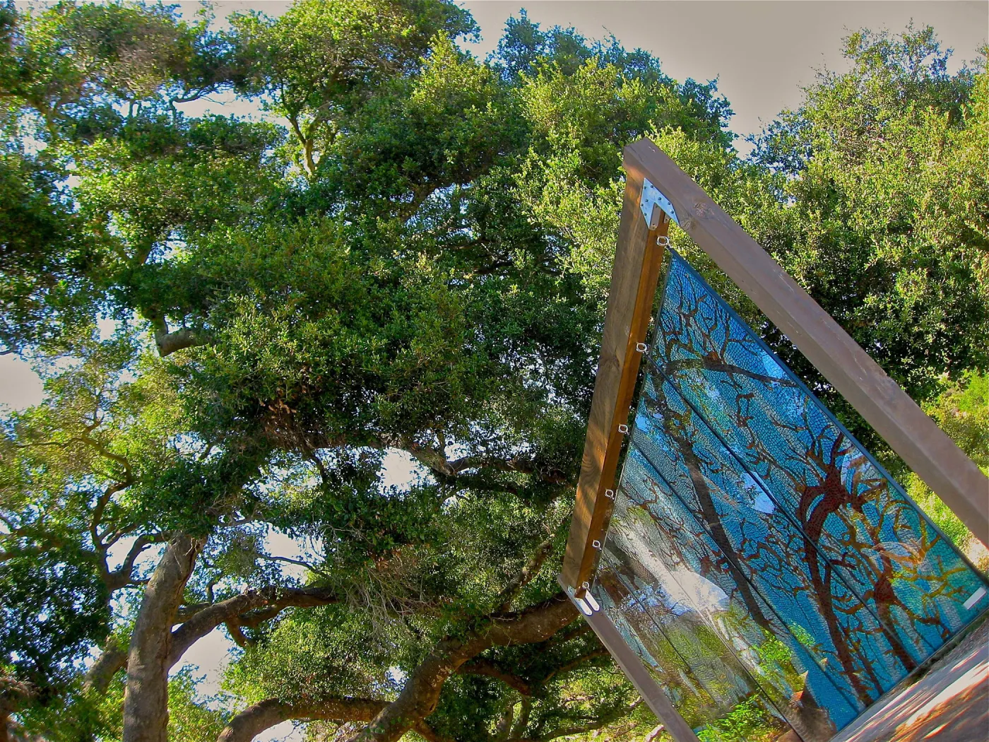 stained glass art exhibit, Meadow Oaks