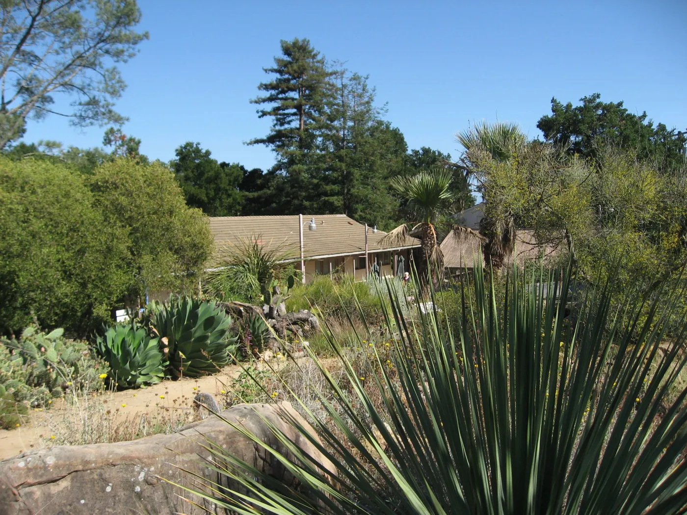 Desert Section, view to the North Wing