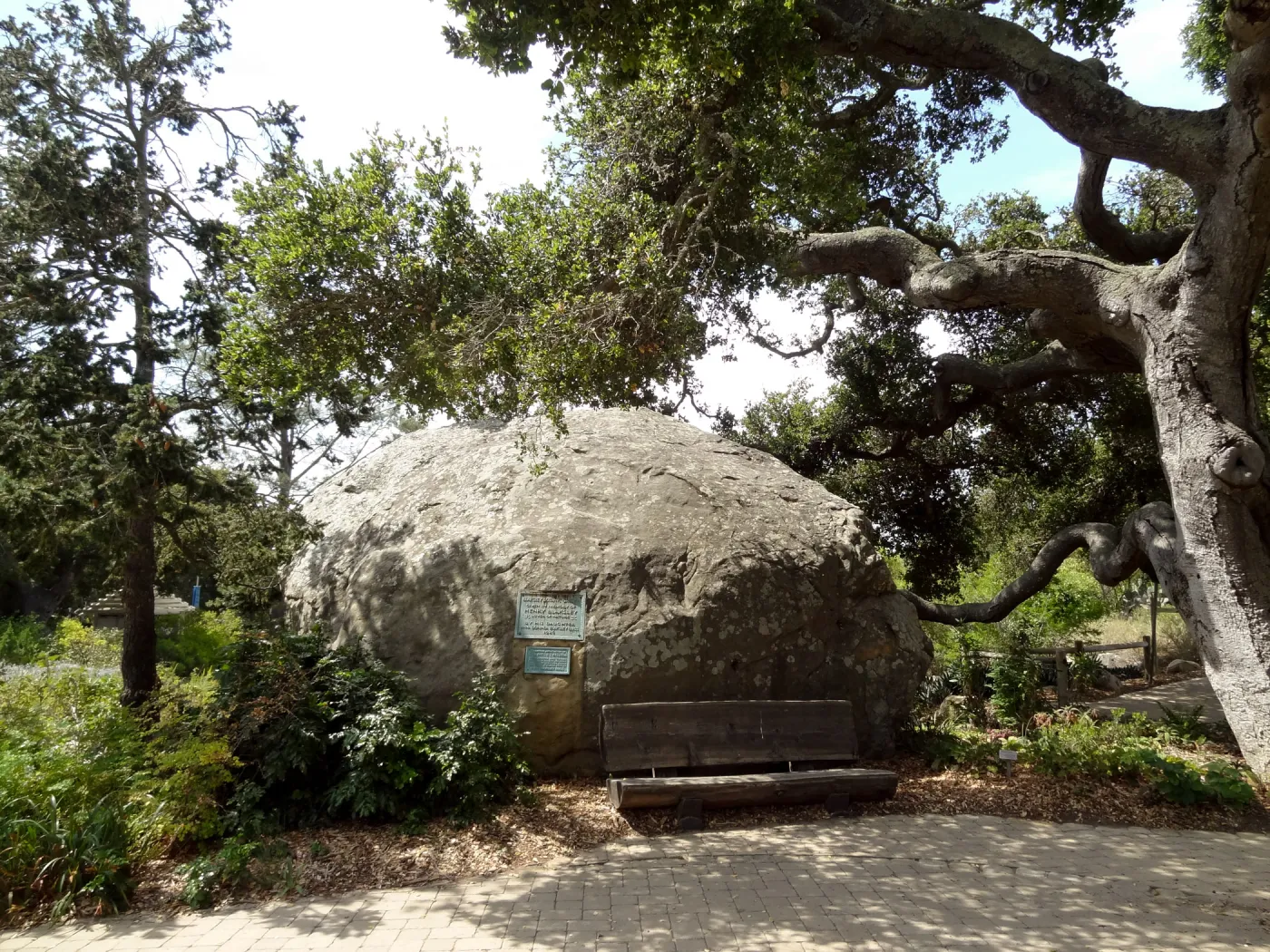 Blaksley Boulder, wood bench, coast live oak