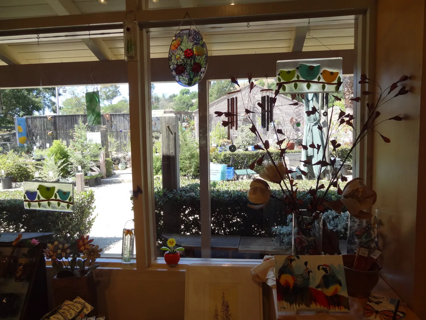 SBBG Gift Shop interior, products