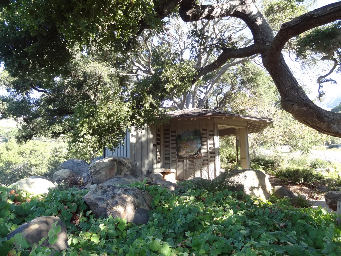 Information Kiosk under oak canopy