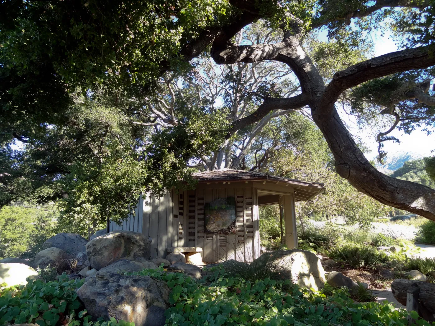 Information Kiosk under oak canopy