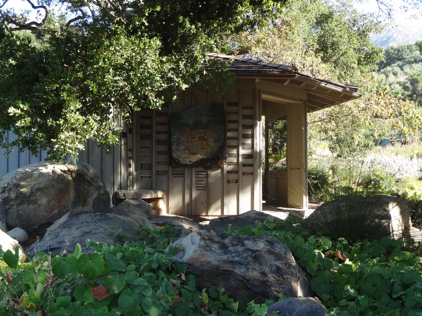 Information Kiosk under oak canopy