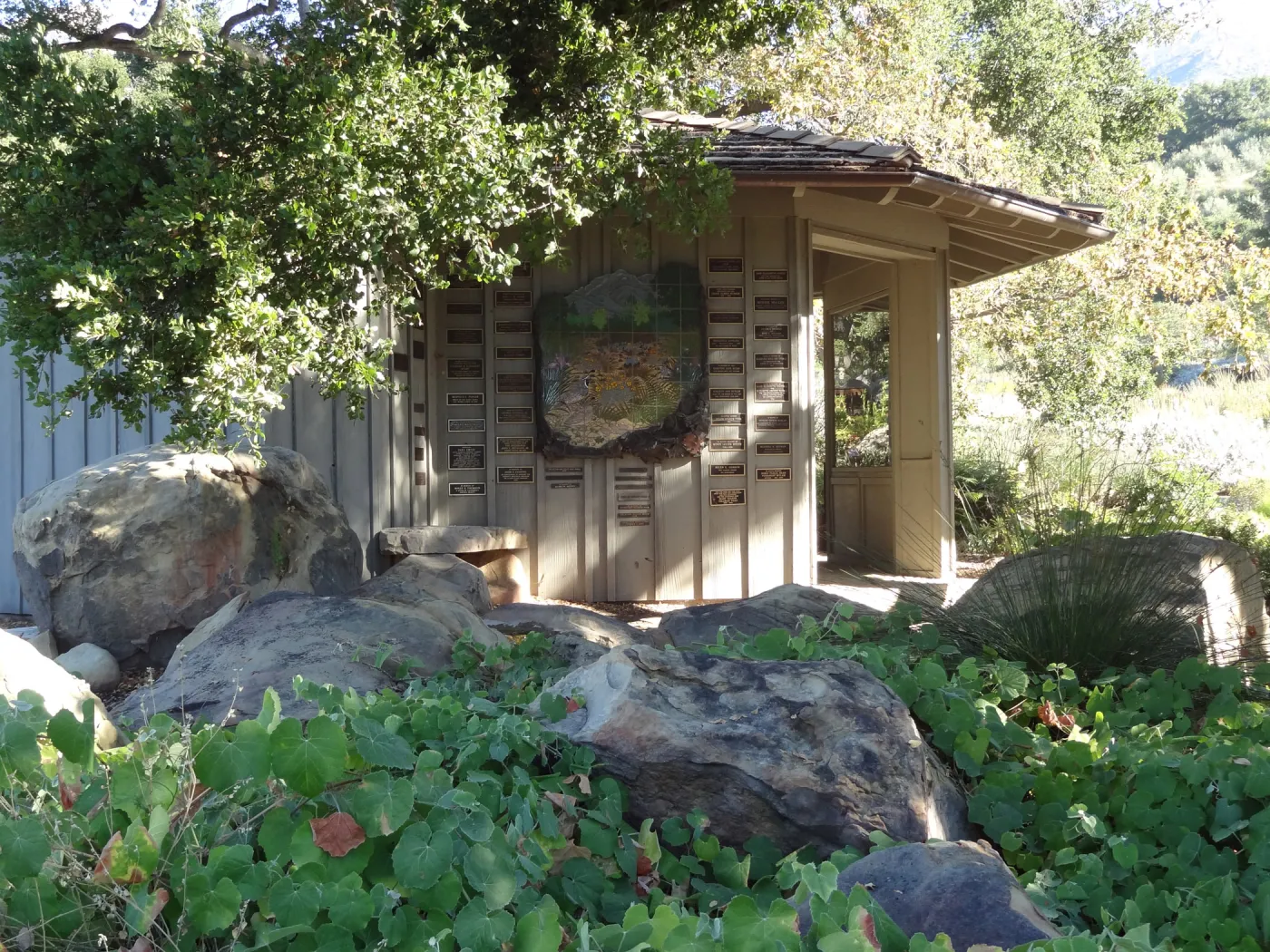 Information Kiosk under oak canopy