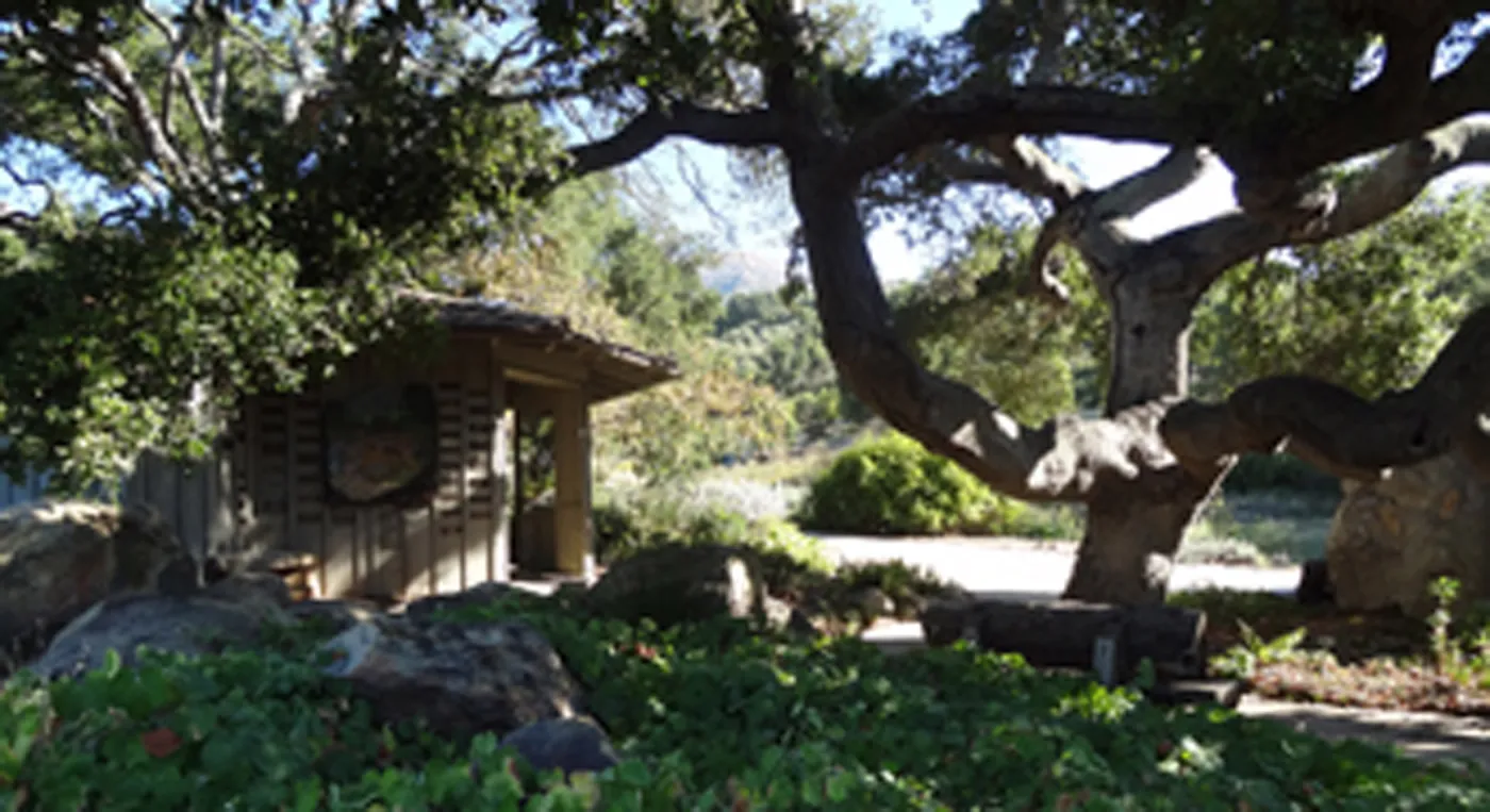 Information Kiosk under oak canopy