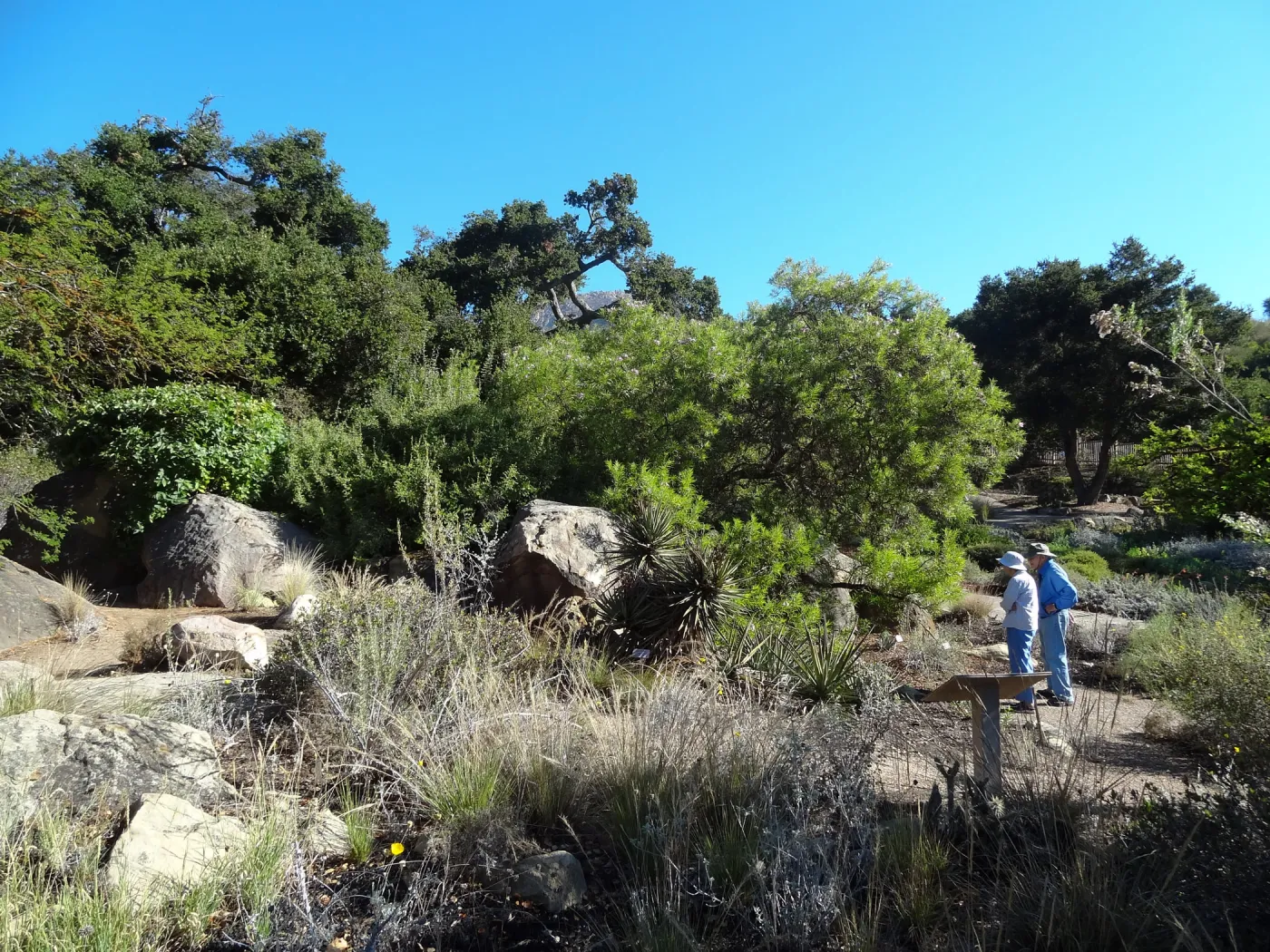visitors in the Desert Section