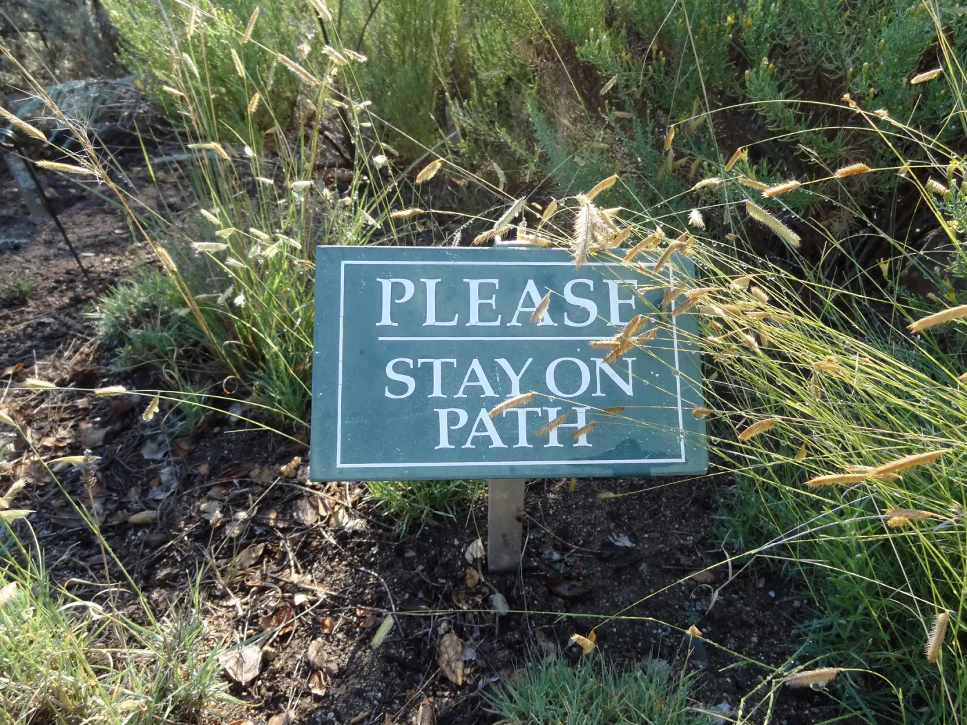Please Stay on the Path sign in the Desert Section