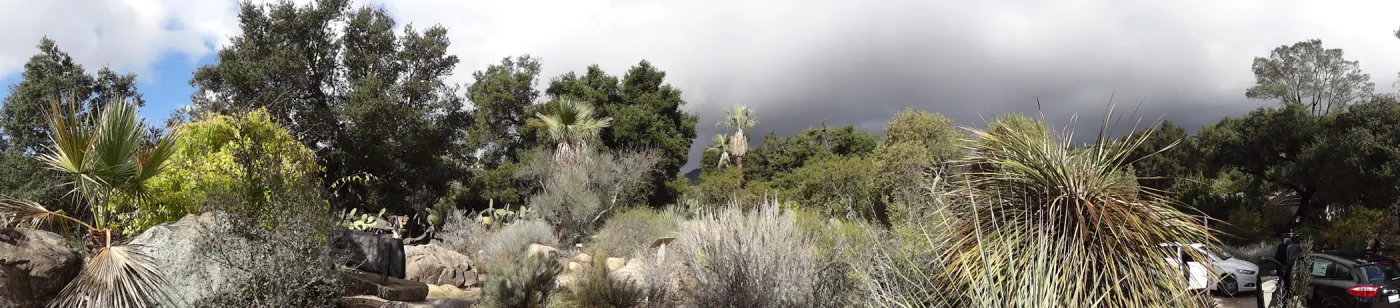 Desert Section panorama