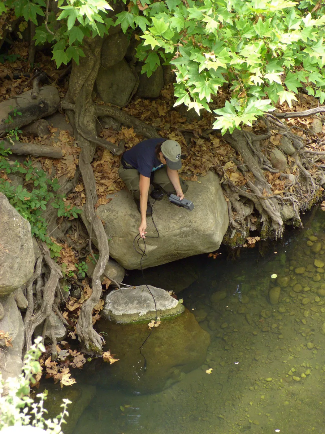 Steelhead trout release below Mission Dam. Gaytha Morningstar checks water temperature and oxygen content.