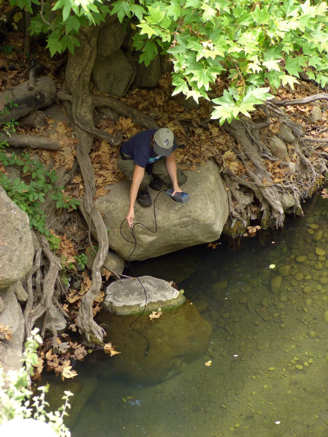 Steelhead trout release below Mission Dam. Gaytha Morningstar checks water temperature and oxygen content.