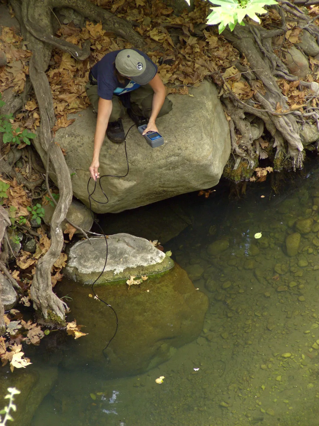 Steelhead trout release below Mission Dam. Gaytha Morningstar checks water temperature and oxygen content.