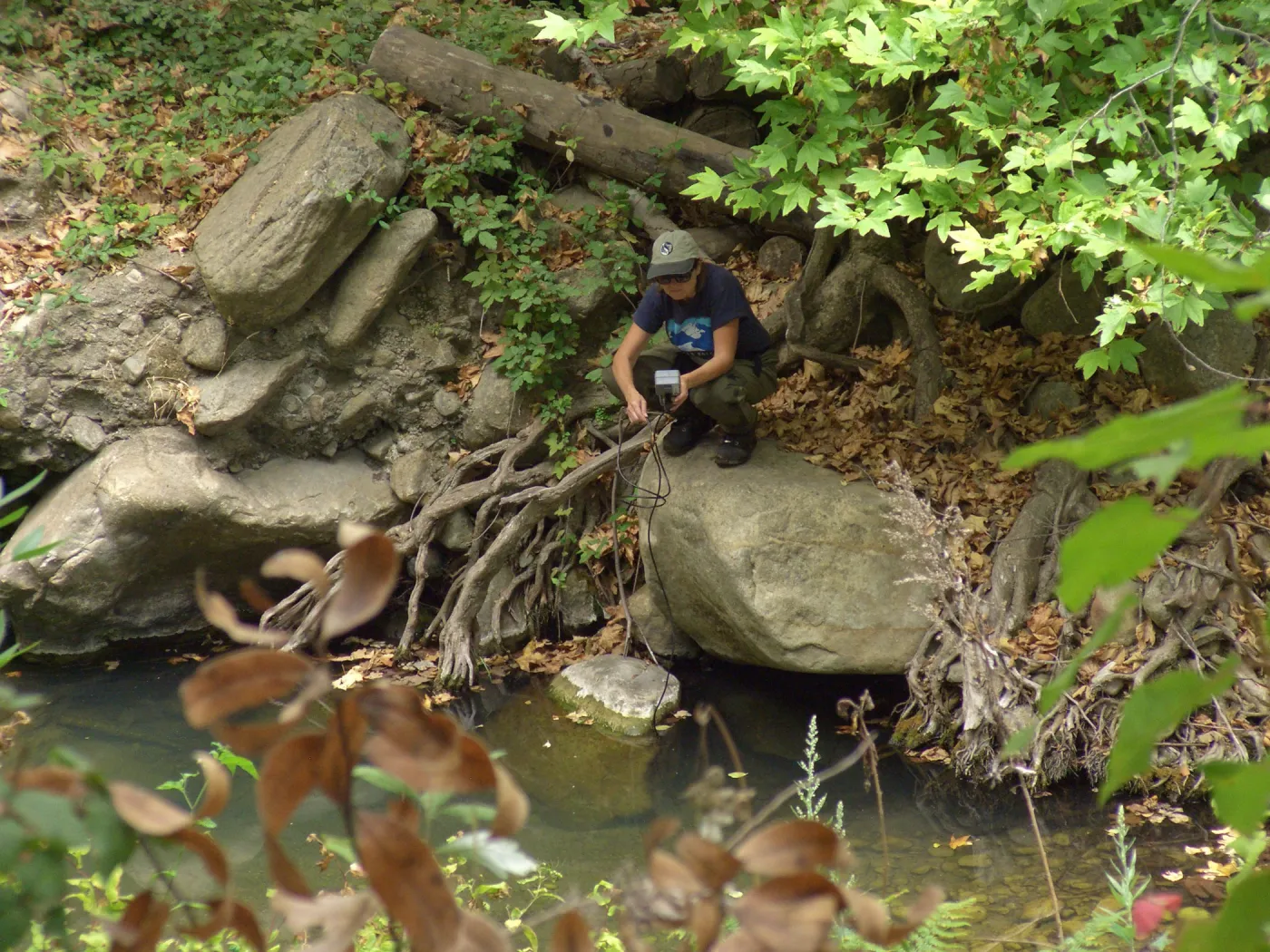 Steelhead trout release below Mission Dam. Gaytha Morningstar checks water temperature and oxygen content.