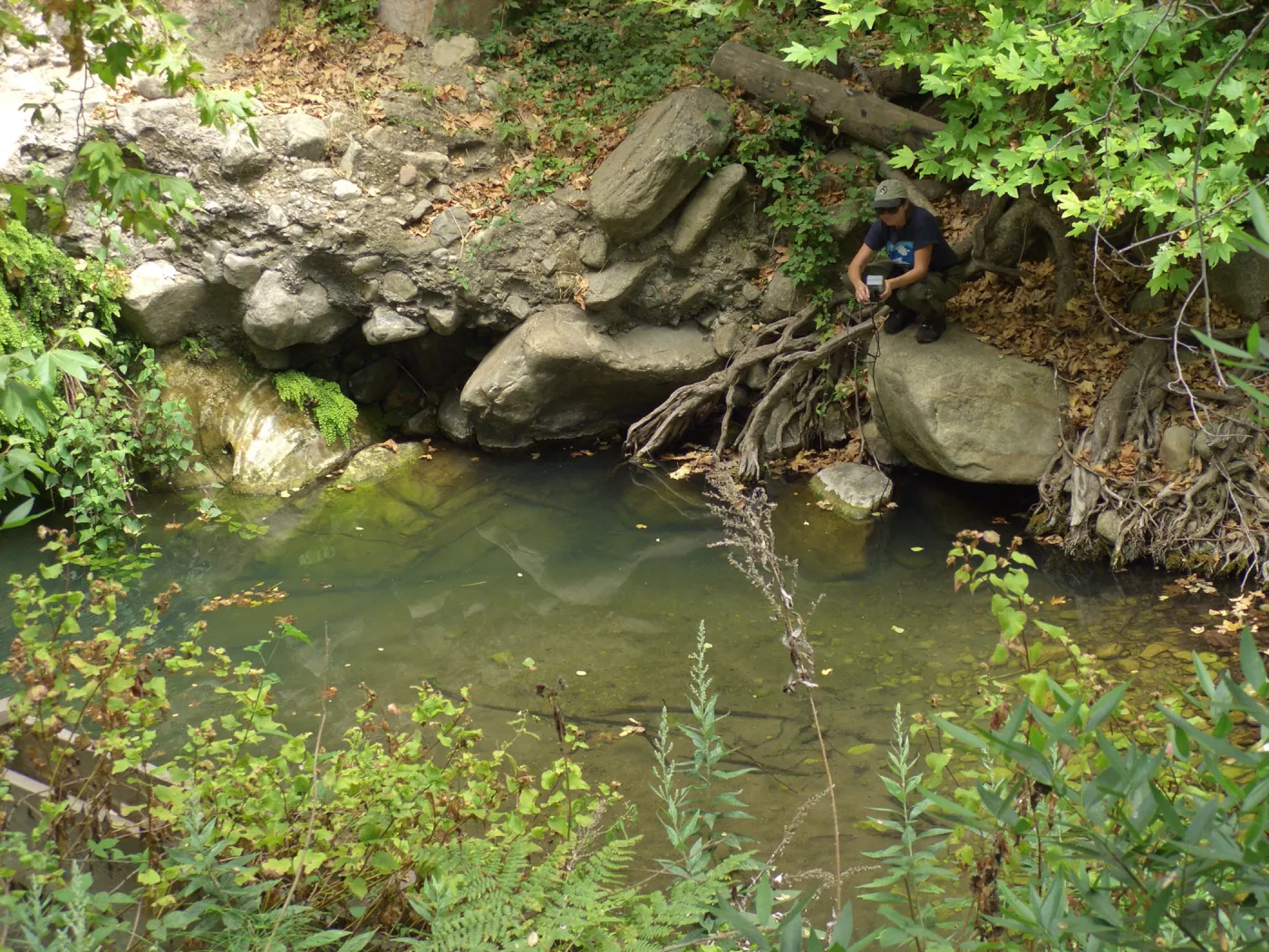 Steelhead trout release below Mission Dam. Gaytha Morningstar checks water temperature and oxygen content.