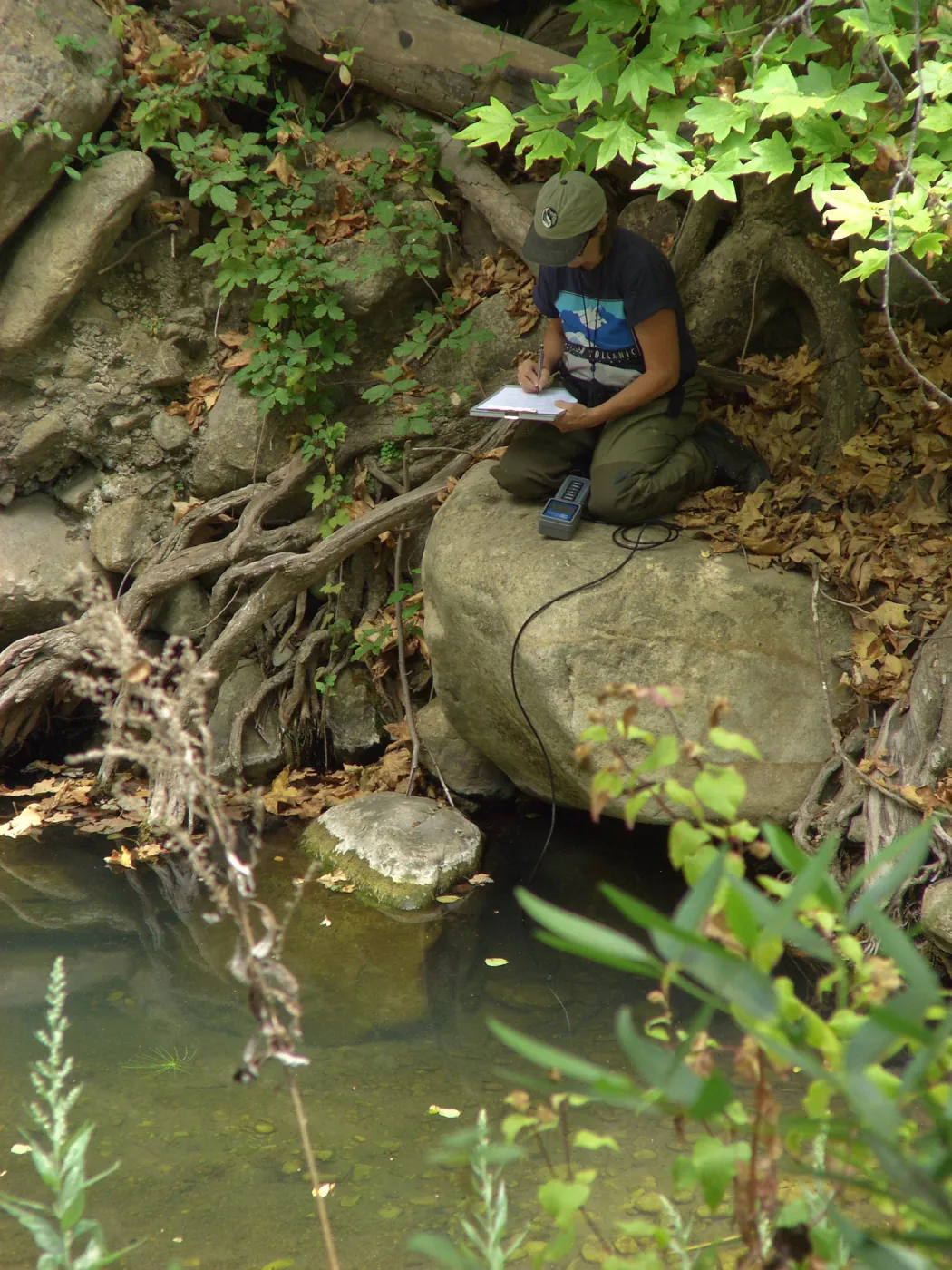 Steelhead trout release below Mission Dam. Gaytha Morningstar checks water temperature and oxygen content.