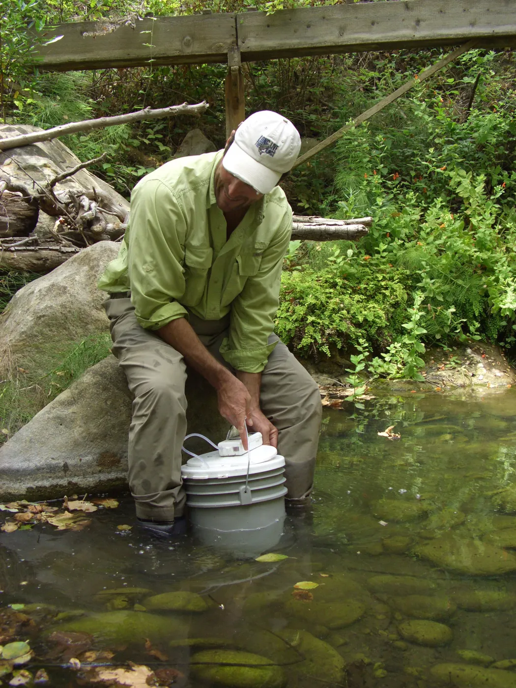 Steelhead trout release below Mission Dam