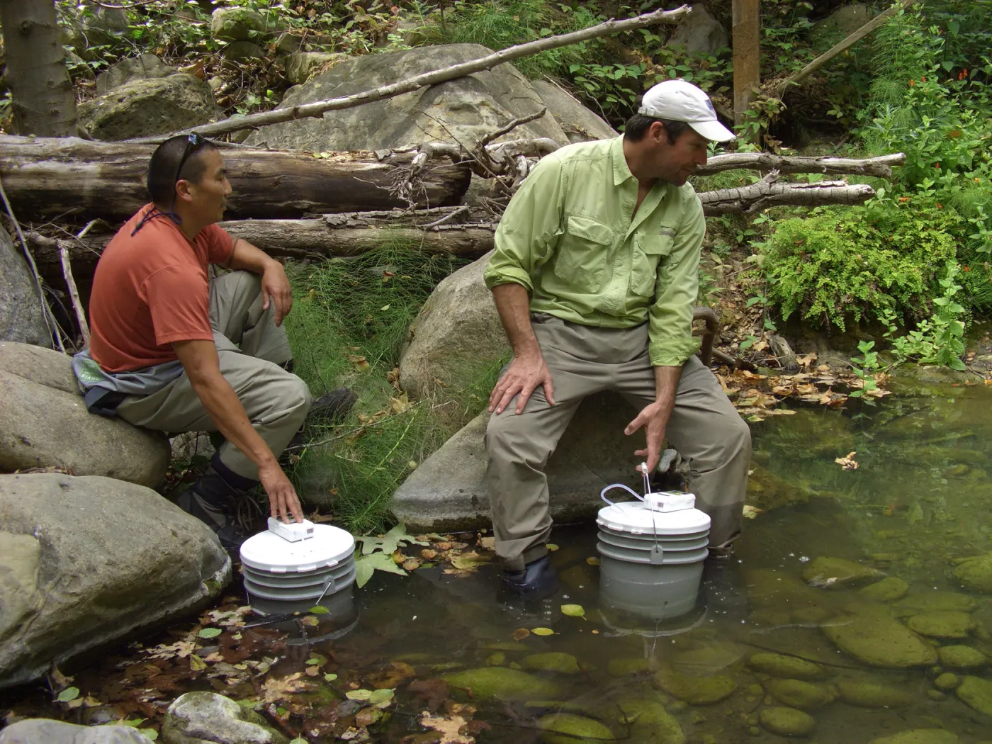 Steelhead trout release below Mission Dam. Matching the temperature of the water in the buckets to the pool.