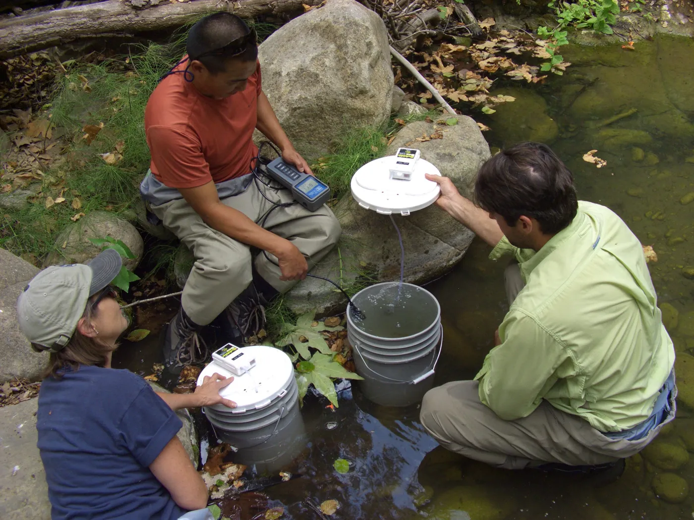 Steelhead trout release below Mission Dam. Matching the temperature of the water in the buckets to the pool.