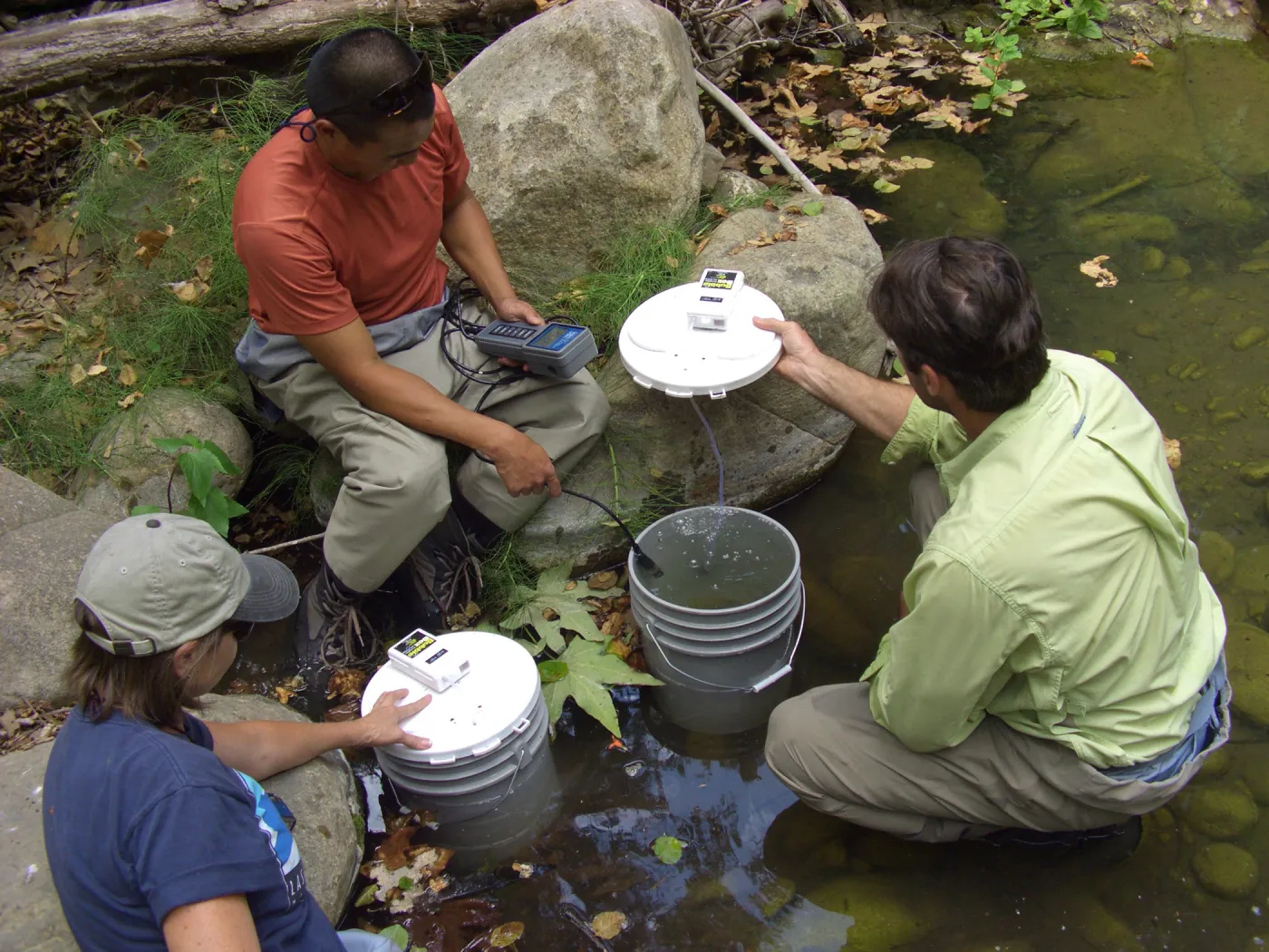 Steelhead trout release below Mission Dam. Matching the temperature of the water in the buckets to the pool.