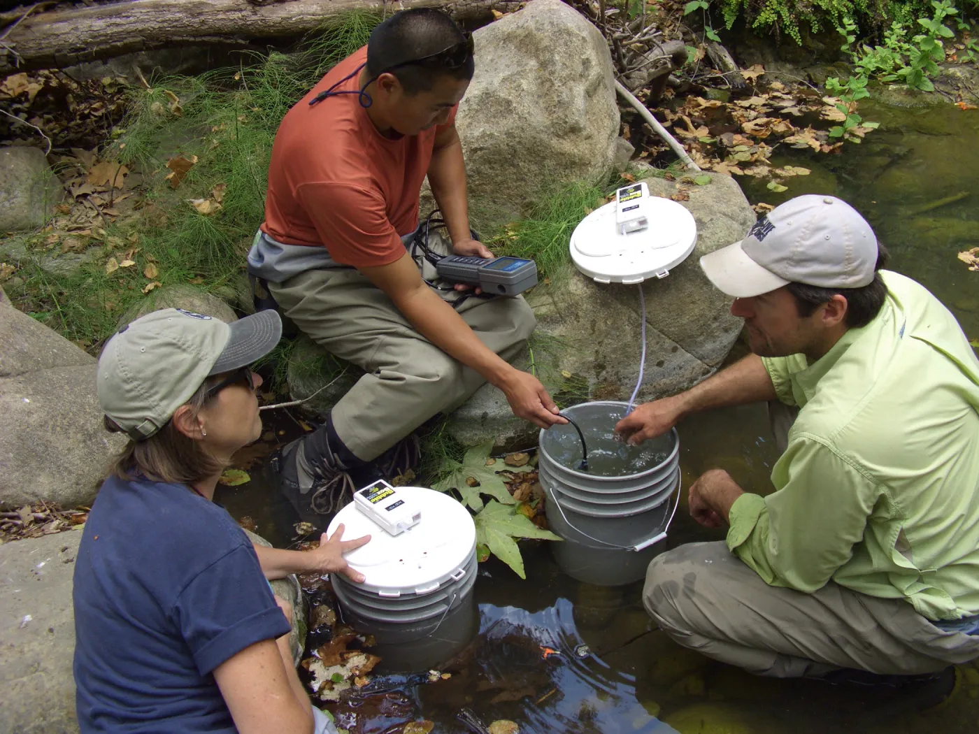 Steelhead trout release below Mission Dam. Matching the temperature of the water in the buckets to the pool.