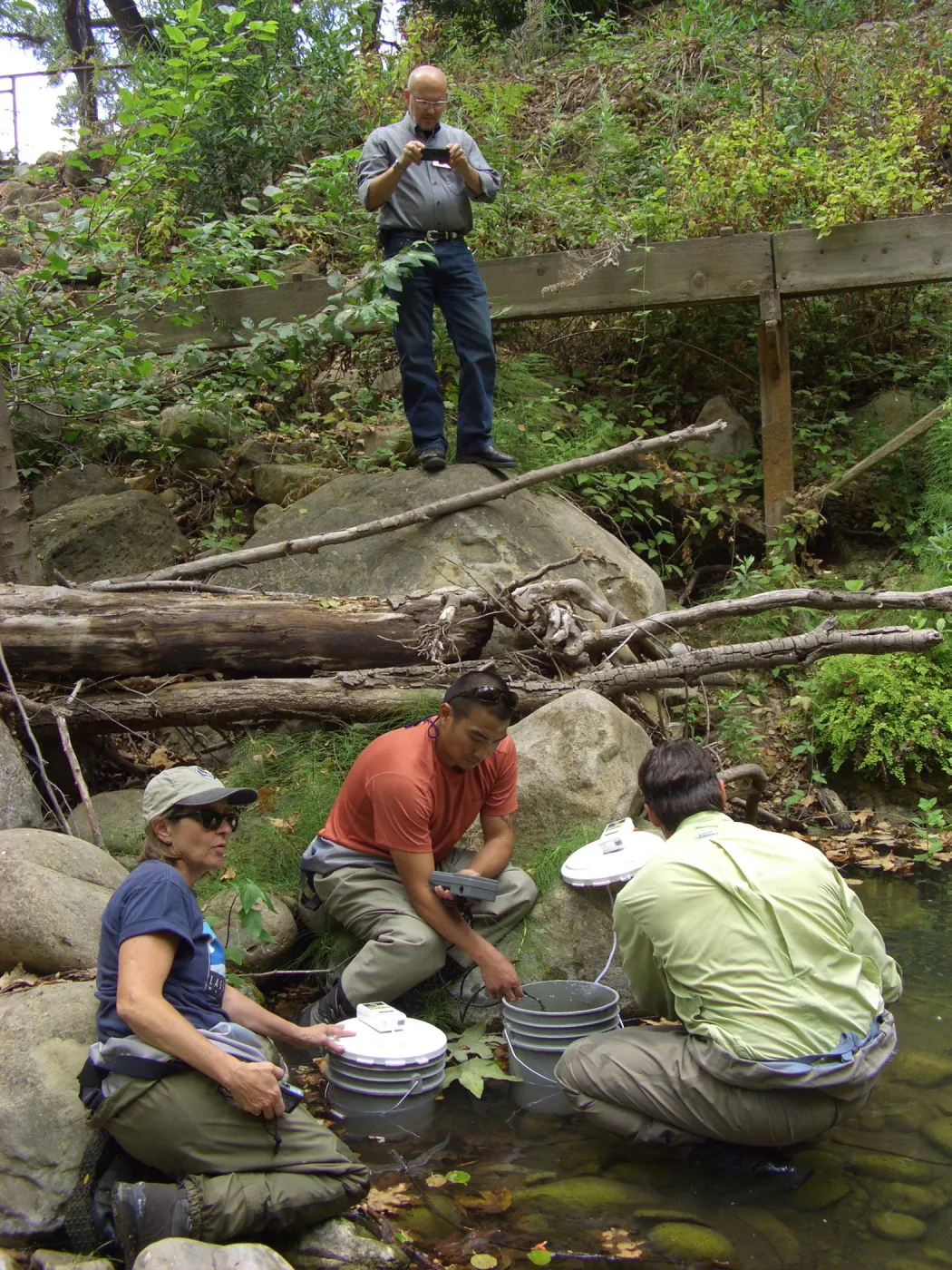 Steelhead trout release below Mission Dam. Matching the temperature of the water in the buckets to the pool.