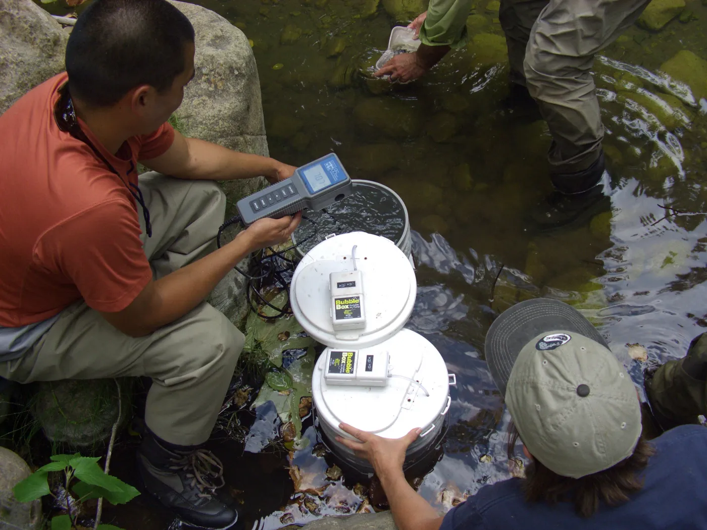 Steelhead trout release below Mission Dam. Matching the temperature of the water in the buckets to the pool.