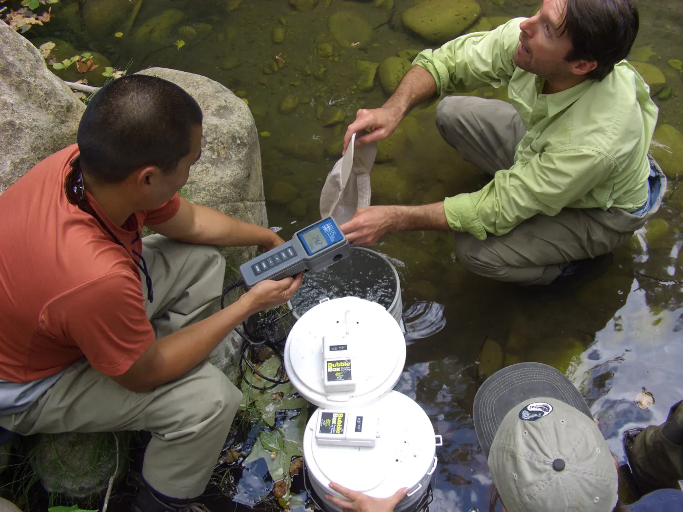 Steelhead trout release below Mission Dam. Matching the temperature of the water in the buckets to the pool.