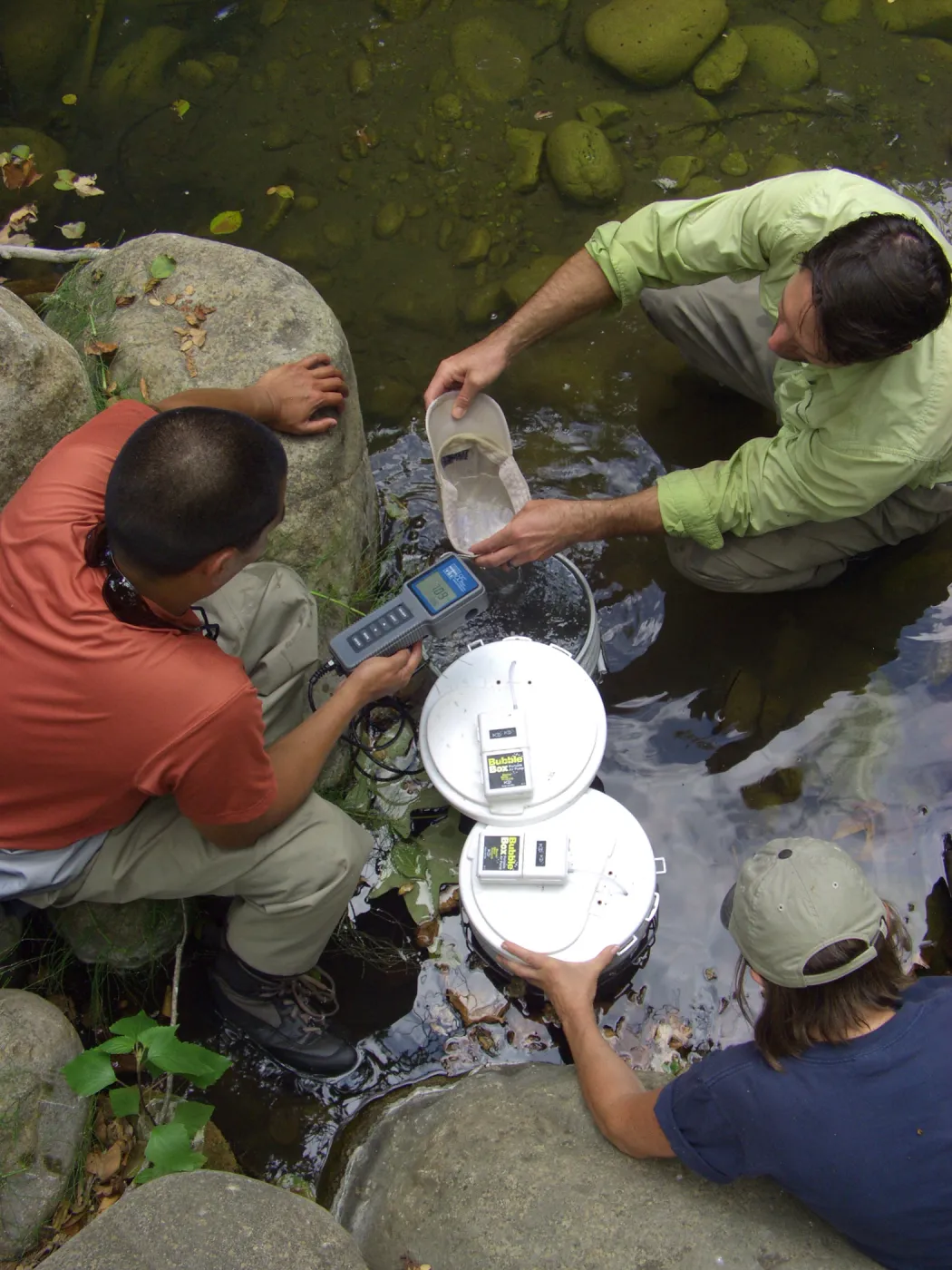 Steelhead trout release below Mission Dam. Matching the temperature of the water in the buckets to the pool.