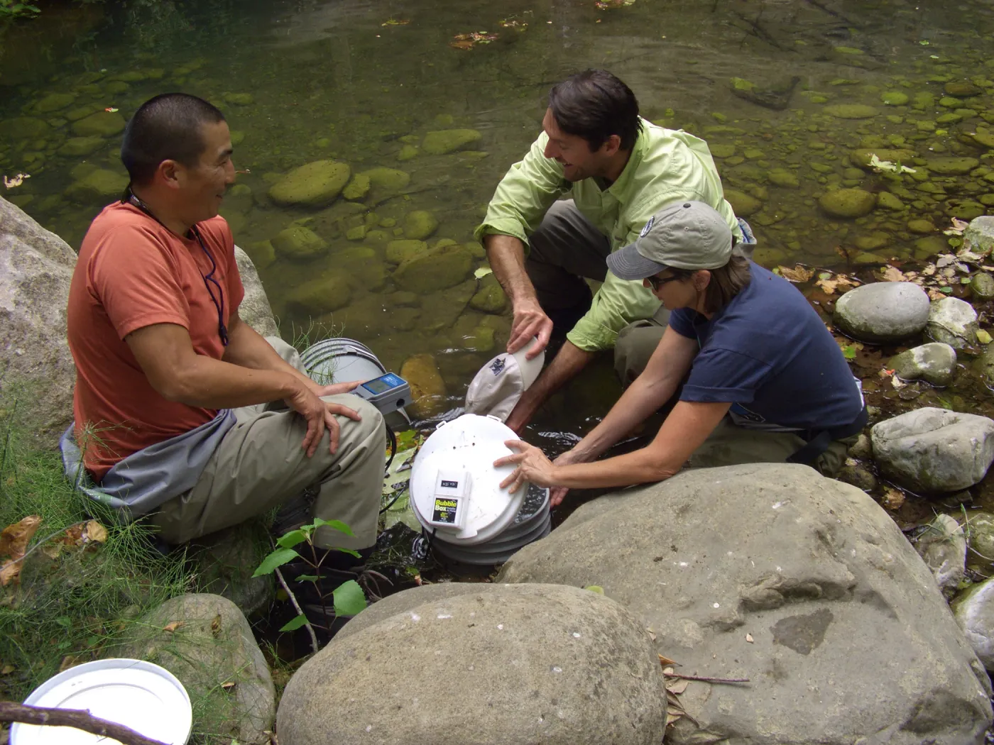Steelhead trout release below Mission Dam. Releasing the remaining larger fish. They had to be encouraged to leave the bucket.