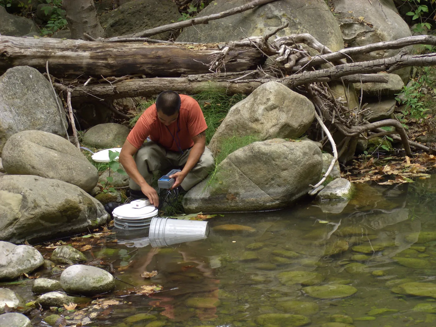 Steelhead trout release below Mission Dam. Releasing the smaller fish.
